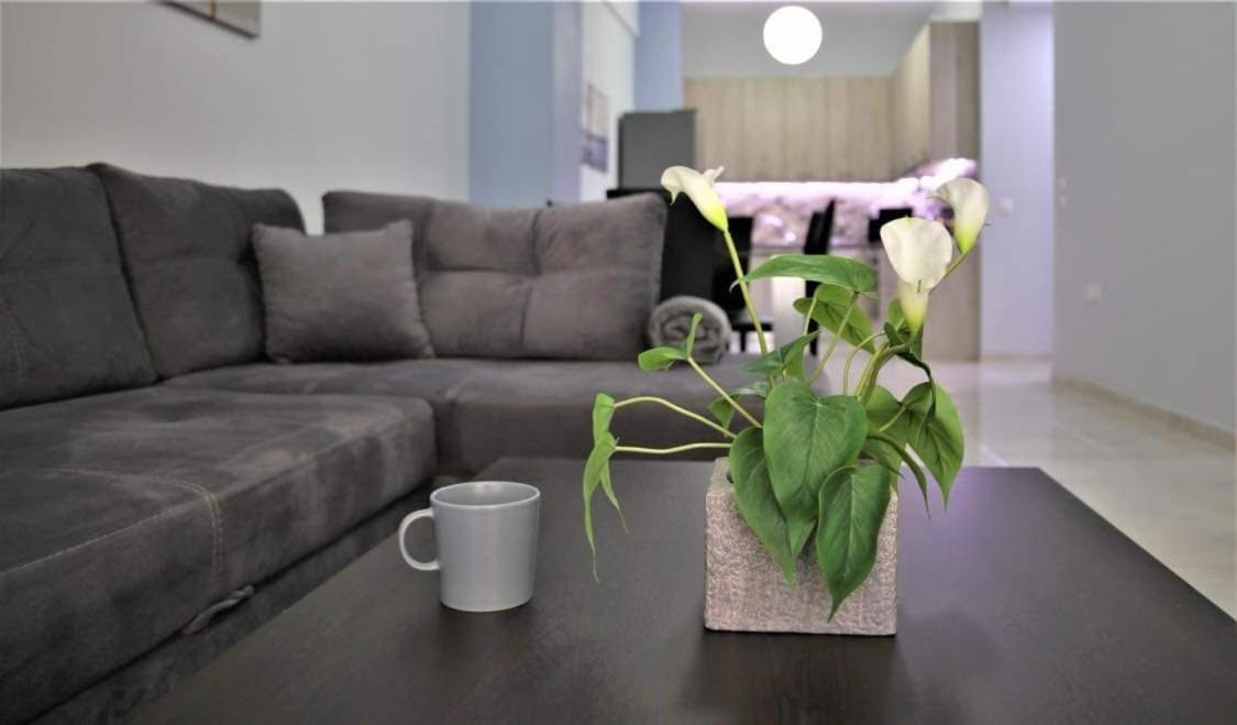 Lovely Apartment In The Center Of Athens. المظهر الخارجي الصورة